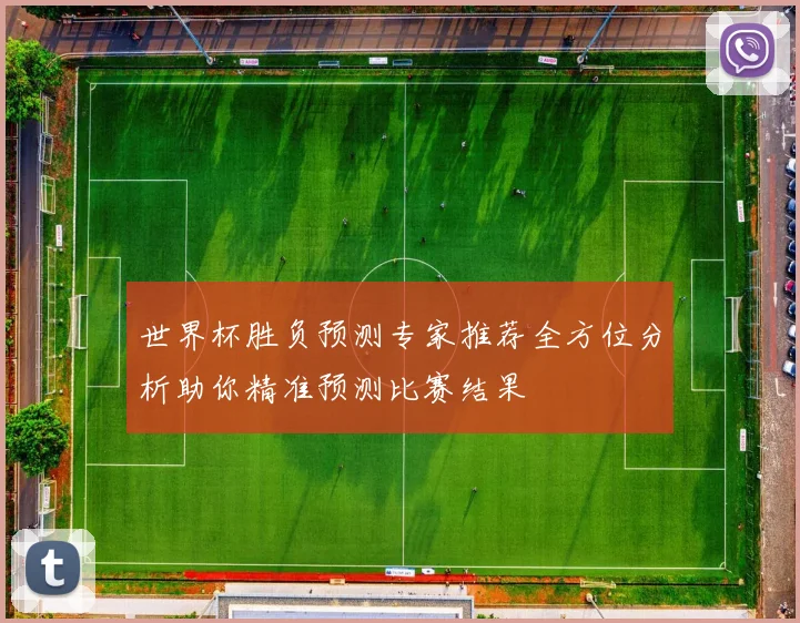 世界杯胜负预测专家推荐全方位分析助你精准预测比赛结果