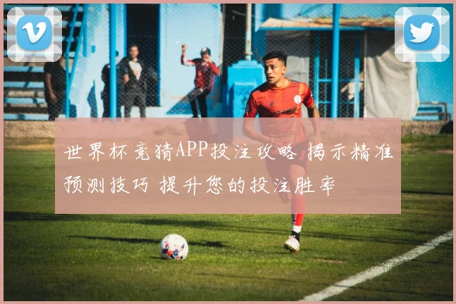 世界杯竞猜APP投注攻略 揭示精准预测技巧 提升您的投注胜率