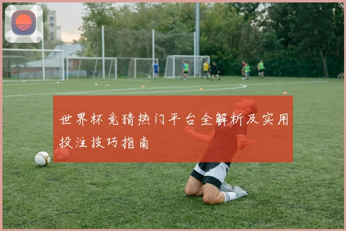 世界杯竞猜热门平台全解析及实用投注技巧指南