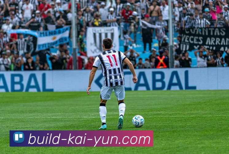 开云平台展示图